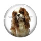 Cabochon Verre - chien