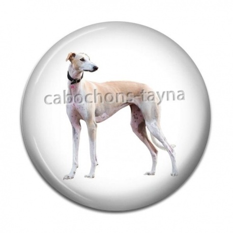 Cabochon Résine - chien