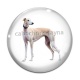 Cabochon Verre - chien