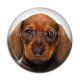 Cabochon Résine - chien