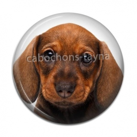 Cabochon Résine - chien