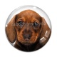 Cabochon Verre - chien