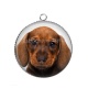 Pendentif Cabochon Argent - chien