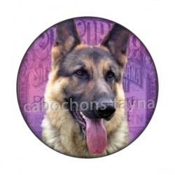 chien