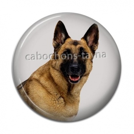Cabochon Résine - chien