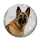 Cabochon Verre - chien
