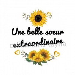 une belle soeur extraordinaire