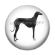 Cabochon Résine - chien