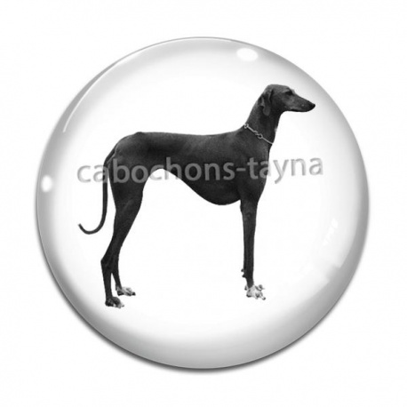 Cabochon Verre - chien