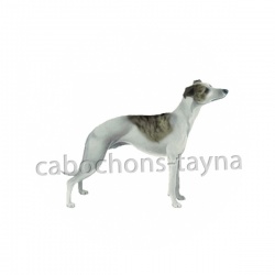 chien