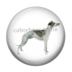 Cabochon Résine - chien