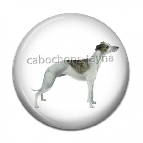 Cabochon Résine - chien