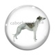 Cabochon Verre - chien