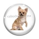 Cabochon Verre - chien