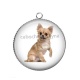 Pendentif Cabochon Argent - chien