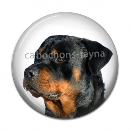 Cabochon Résine - chien