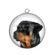 Pendentif Cabochon Argent - chien