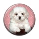 Cabochon Résine - chien