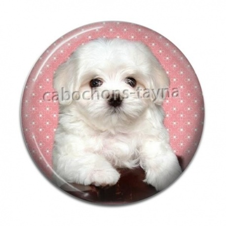 Cabochon Résine - chien
