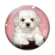 Cabochon Verre - chien