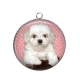 Pendentif Cabochon Argent - chien