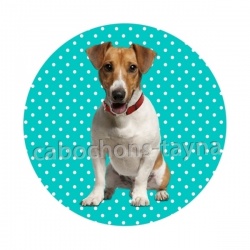 chien