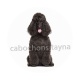 chien