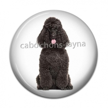 Cabochon Résine - chien