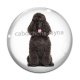 Cabochon Verre - chien