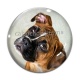 Cabochon Verre - chien
