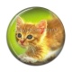 Cabochon Résine - chaton