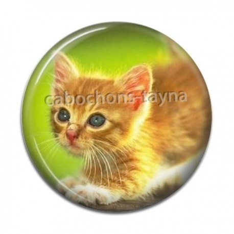 Cabochon Résine - chaton