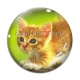 Cabochon Verre - chaton
