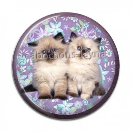 Cabochon Résine - chaton