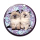 Cabochon Verre - chaton