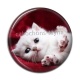 Cabochon Résine - chaton
