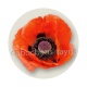coquelicot rouge