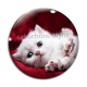 Cabochon Verre - chaton