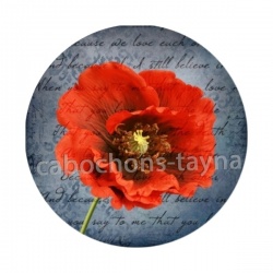 coquelicot 