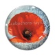 Cabochon Verre - coquelicot 