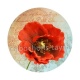 coquelicot 