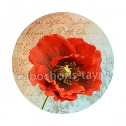 coquelicot 