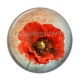 Cabochon Résine - coquelicot 