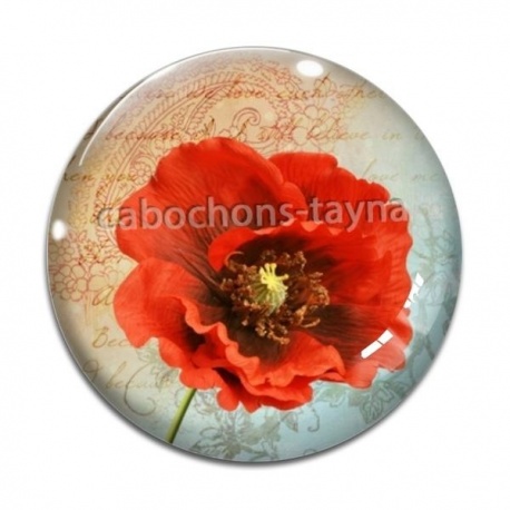 Cabochon Verre - coquelicot 