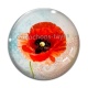 Cabochon Verre - coquelicot 