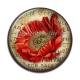 Cabochon Résine - coquelicot