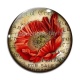 Cabochon Verre - coquelicot