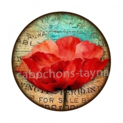 coquelicot 