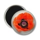 Magnet's - coquelicot