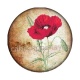 coquelicot